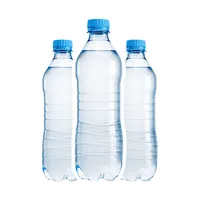Botol Bersih